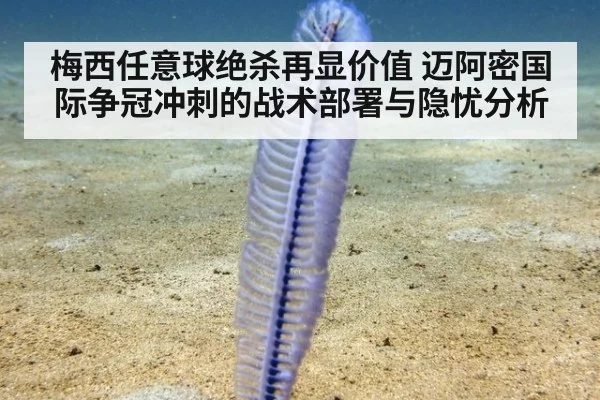 梅西任意球绝杀再显价值 迈阿密国际争冠冲刺的战术部署与隐忧分析